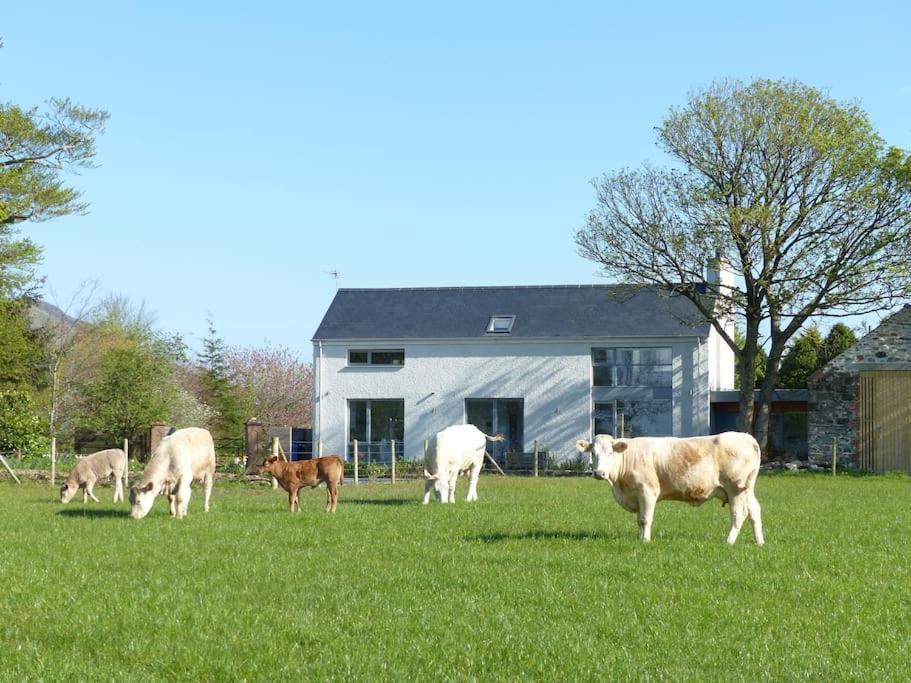 Barn Lane @ Drumagosker Rural Retreats Ardmore ภายนอก รูปภาพ